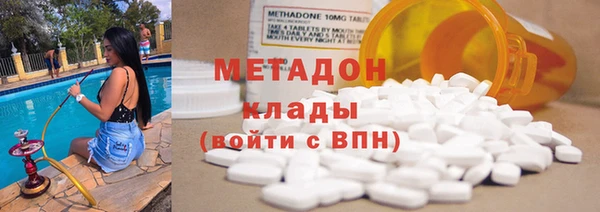 прущие грибы Инта