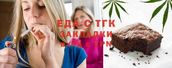 прущие грибы Инта
