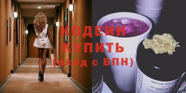 прущие грибы Инта