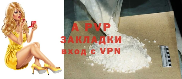 прущие грибы Инта