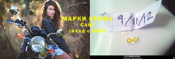 прущие грибы Инта