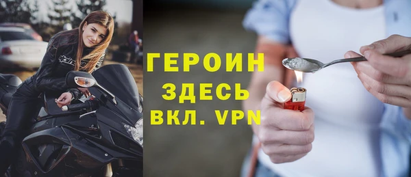 прущие грибы Инта