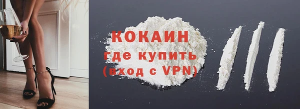 прущие грибы Инта