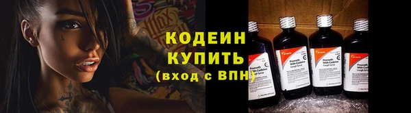 прущие грибы Инта