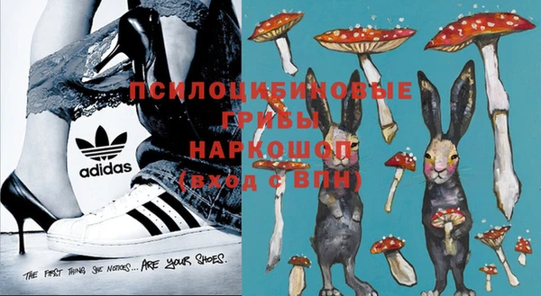 прущие грибы Инта