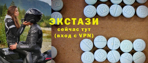 прущие грибы Инта
