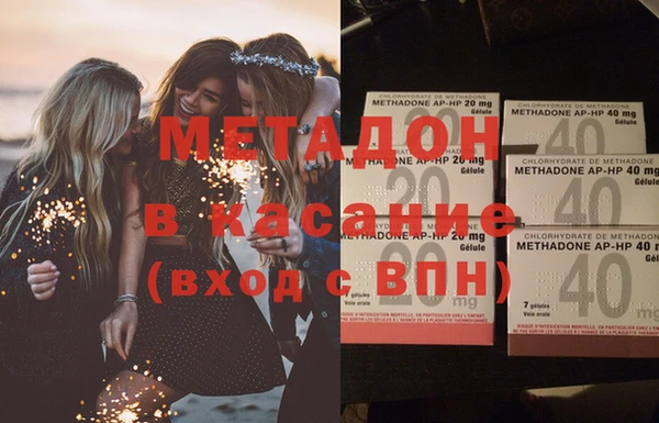 прущие грибы Инта