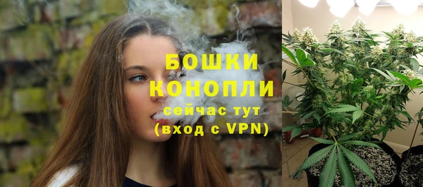 прущие грибы Инта