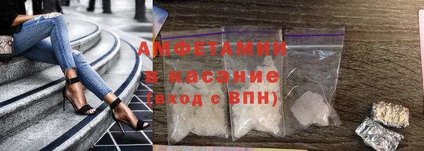 прущие грибы Инта
