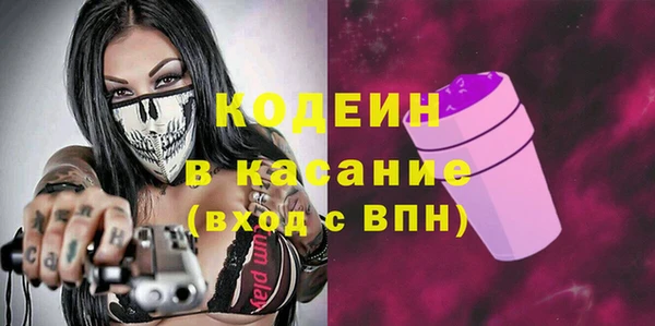 прущие грибы Инта