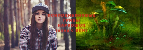 mix Иннополис