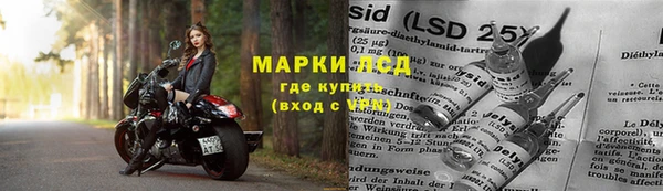 a pvp Инсар
