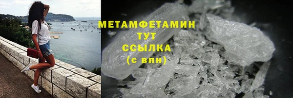 прущие грибы Инта