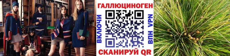 Галлюциногенные грибы мухоморы  Купить где  Котово 